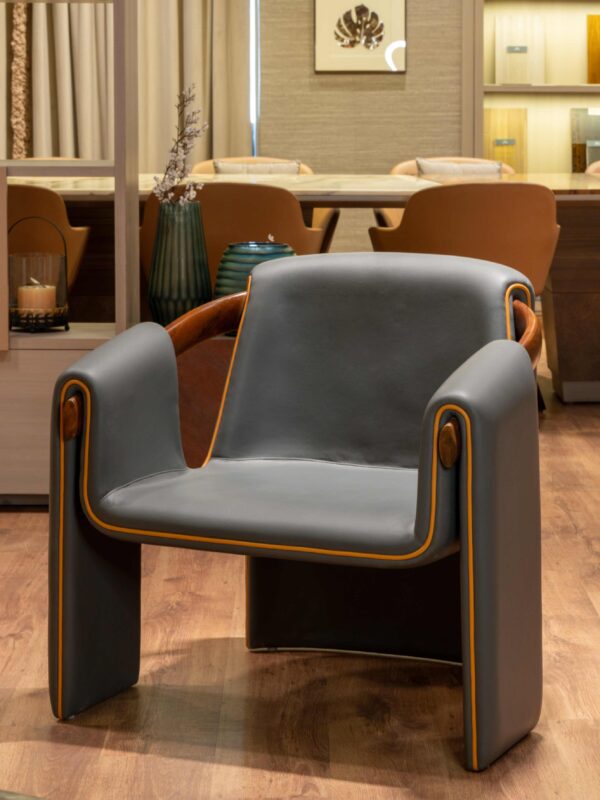 Modern Luxury Chair – The Ultimate Fusion of Comfort & Sophistication